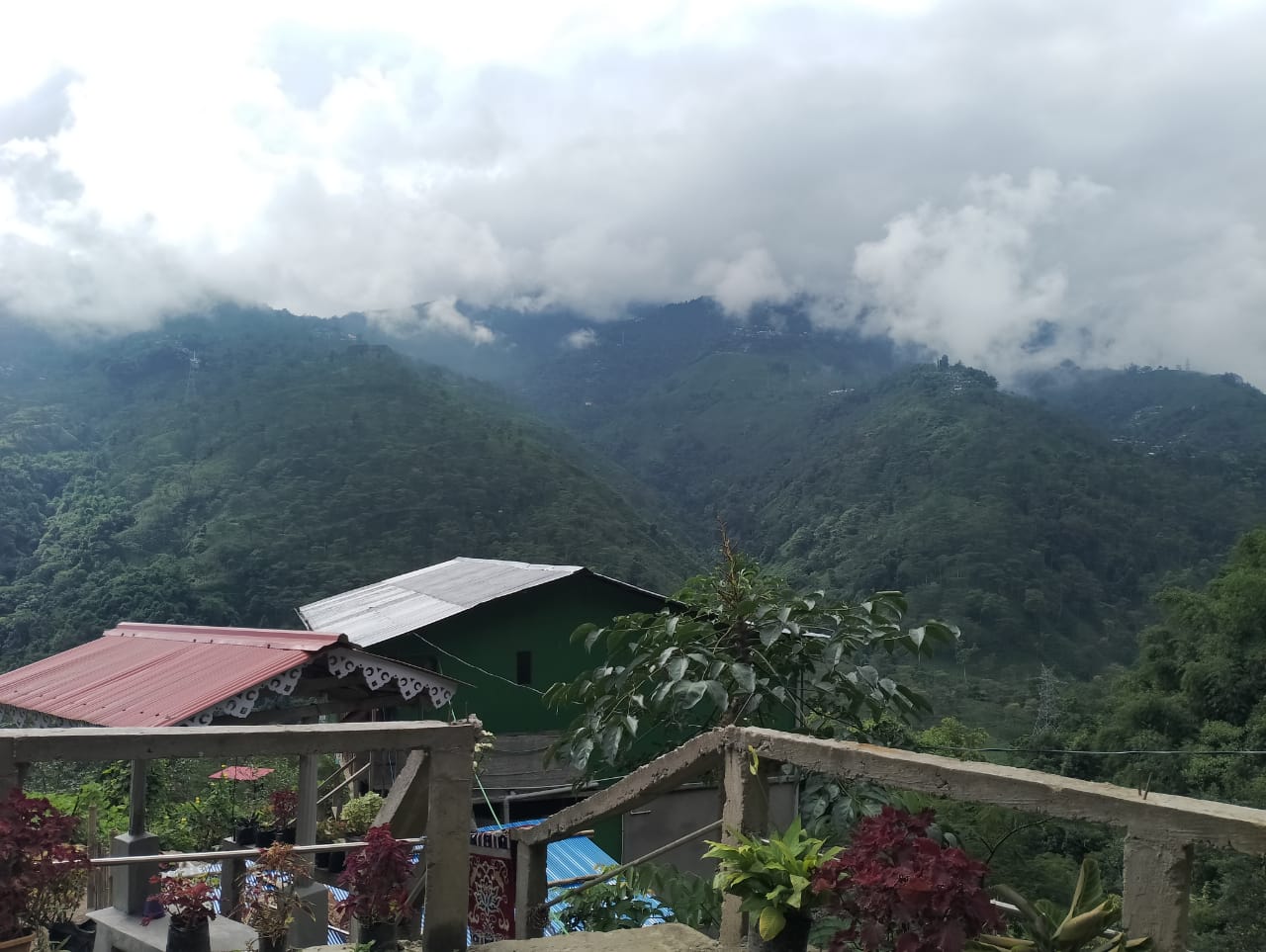 Image 5