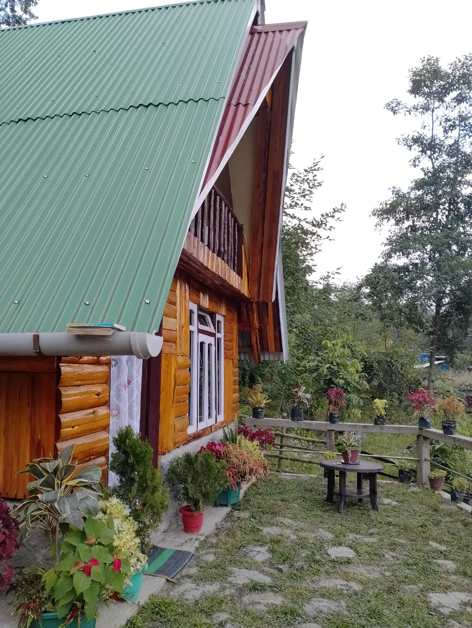 Image 6