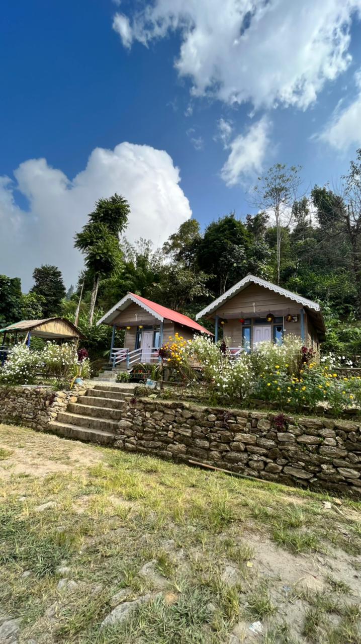 Image 12